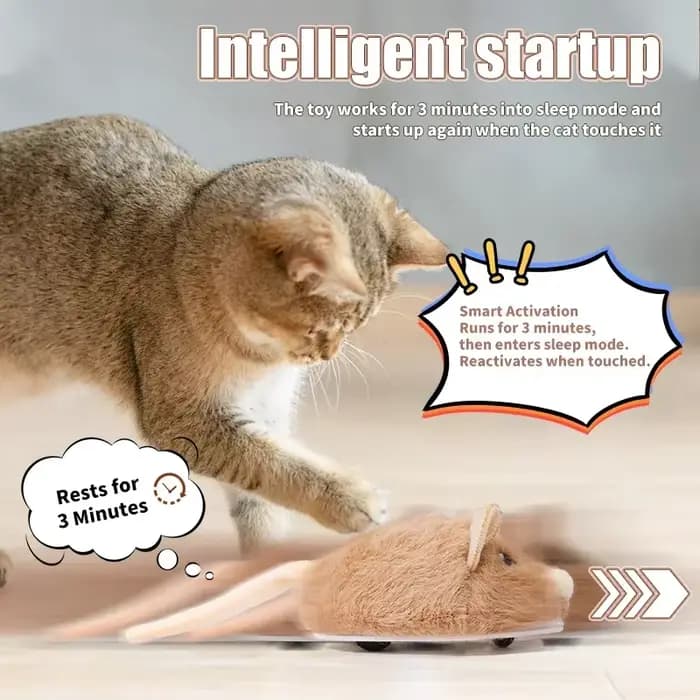 Souris électrique interactive pour chat