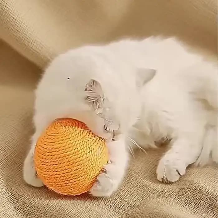 Balle à gratter pour chat résistante aux morsures de 8 cm | Jouet interactif pour chaton