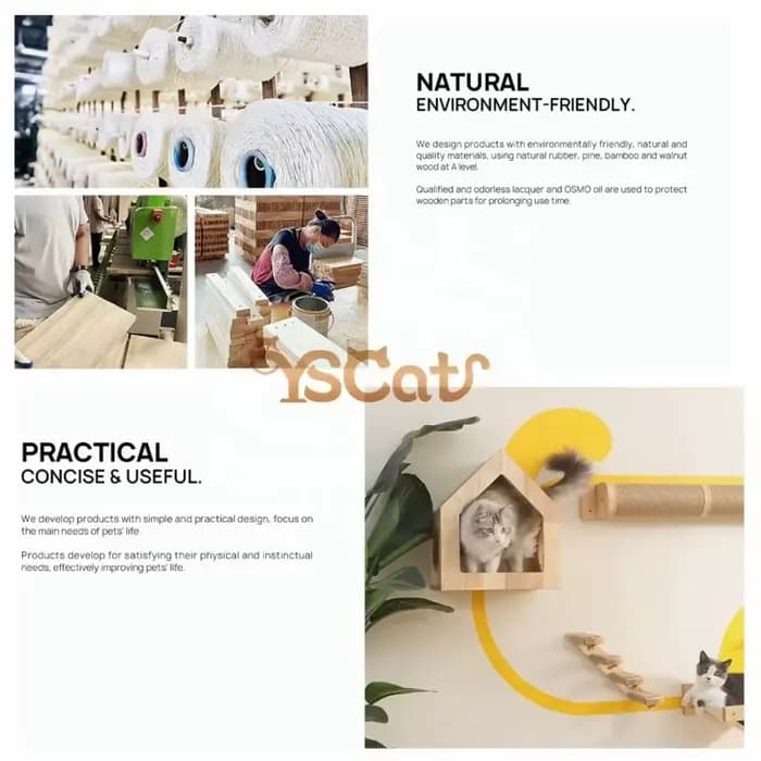 Arbre à chat d'intérieur moderne de luxe en bois courbé avec sisal durable