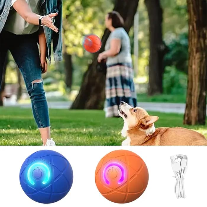 Balle roulante automatique pour chien