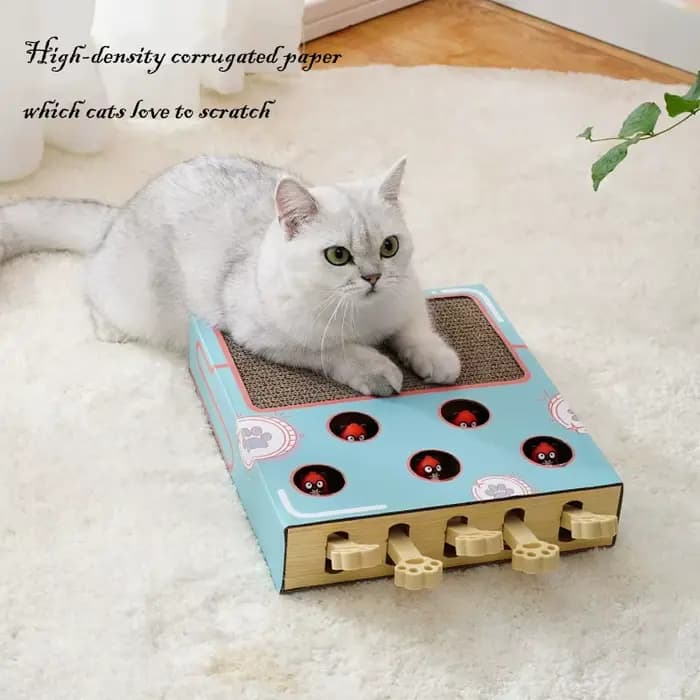 Boîte de jeu interactive 3-en-1 pour chaton d'intérieur : Jouet Whack-A-Mole