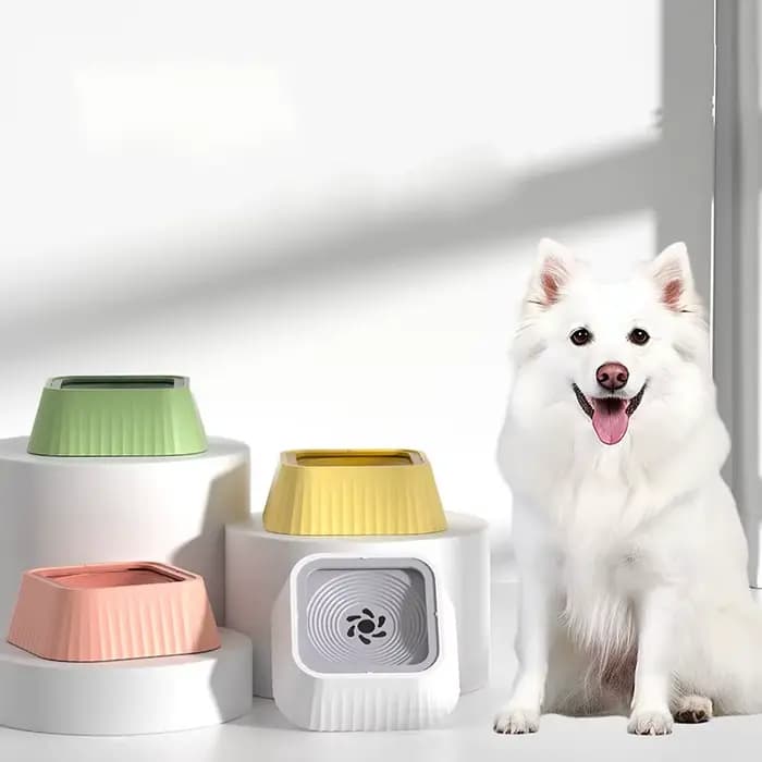 Bol à eau flottant pour animaux de compagnie
