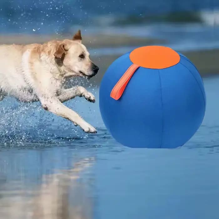 Balle de hérisson pour animaux de compagnie