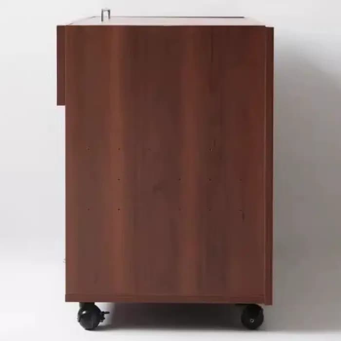 Boîte à litière intégrée pour chat