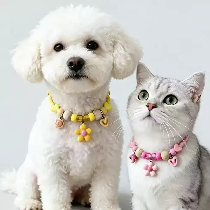 Collier anti-puces et tiques réglable en bois de camphre, collier répulsif anti-moustiques et insectes pour chiens et chats, idéal pour l'été
