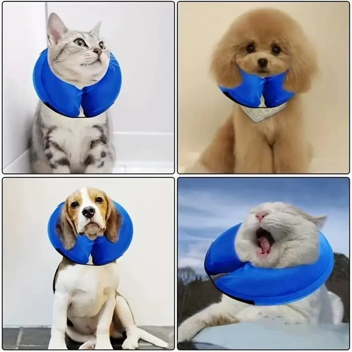 Collier gonflable pour chiens et chats