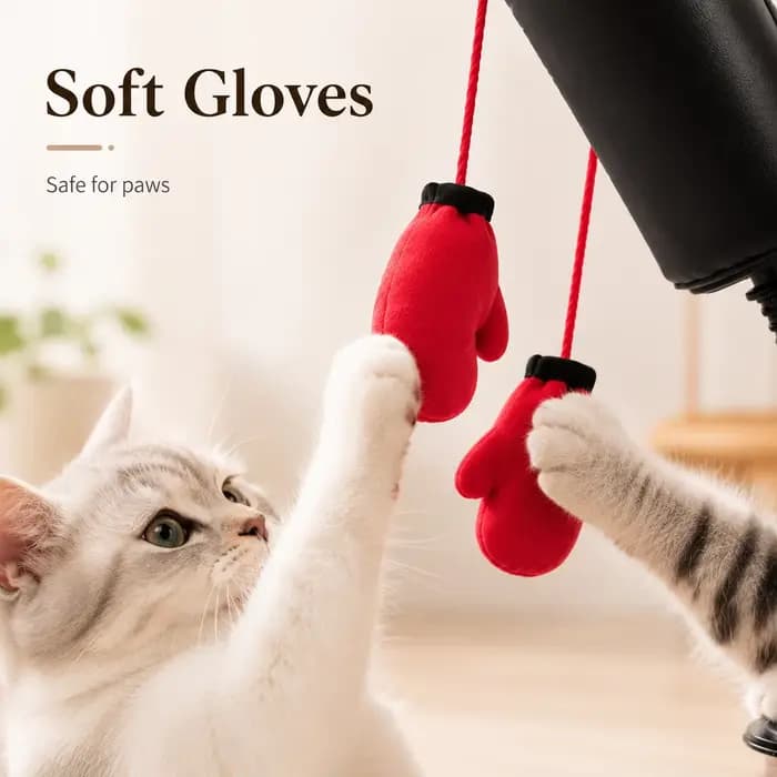 Jouet de boxe pour chat - Jeu de boxe multifonctionnel pour stimuler le chat