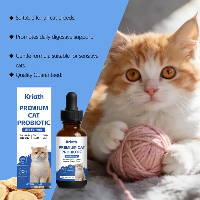 Gouttes Probiotiques pour Chats - Probiotique Liquide