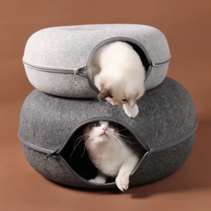 Nouveau tunnel interactif rond pour chat