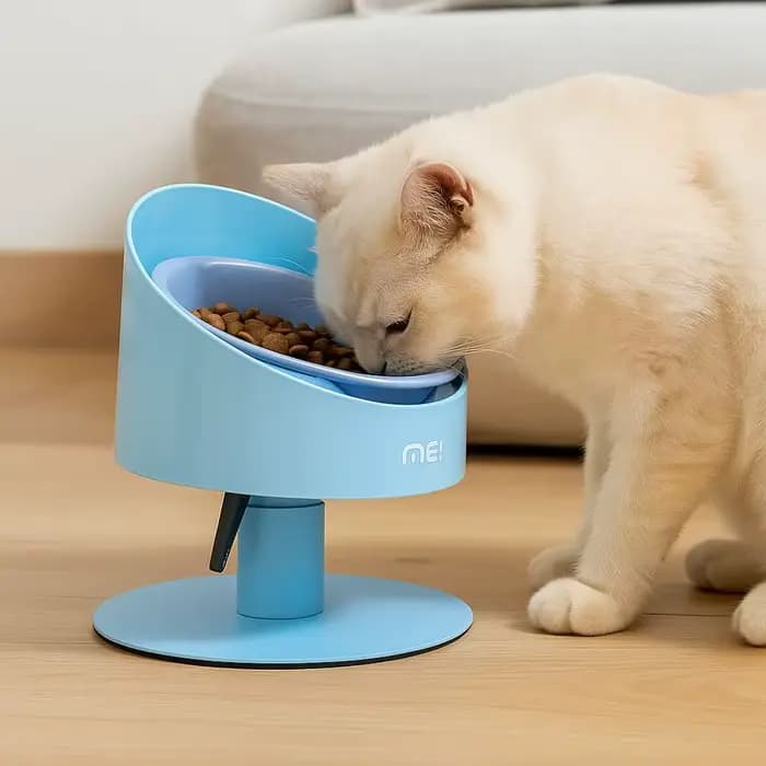 Bol de nourriture pour chat bol en céramique réglable