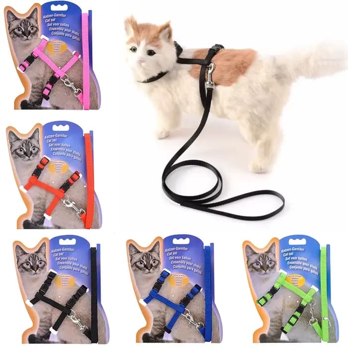 Collier réglable en nylon pour animal de compagnie