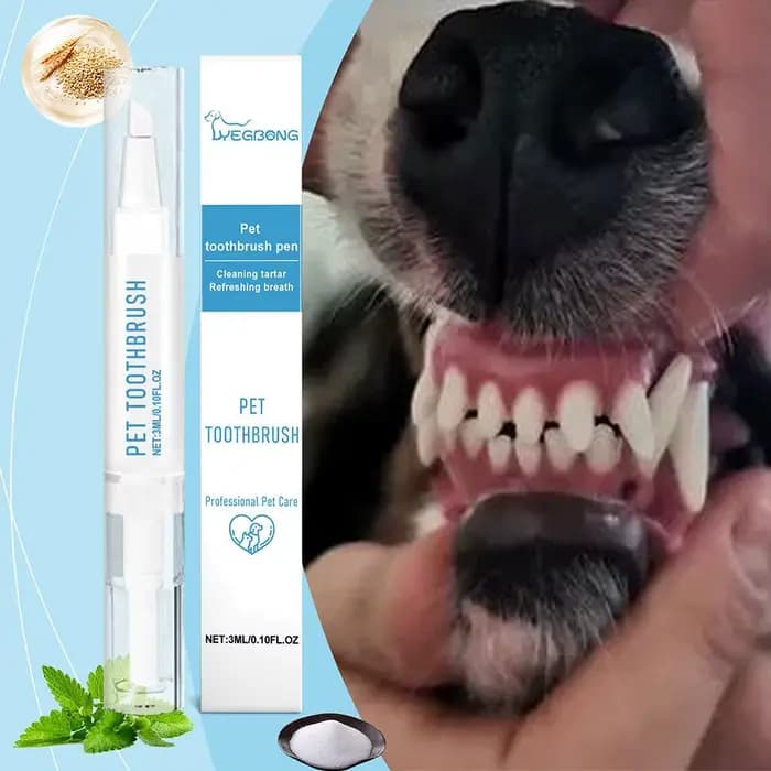 Brosse à Dents pour Animaux de Compagnie