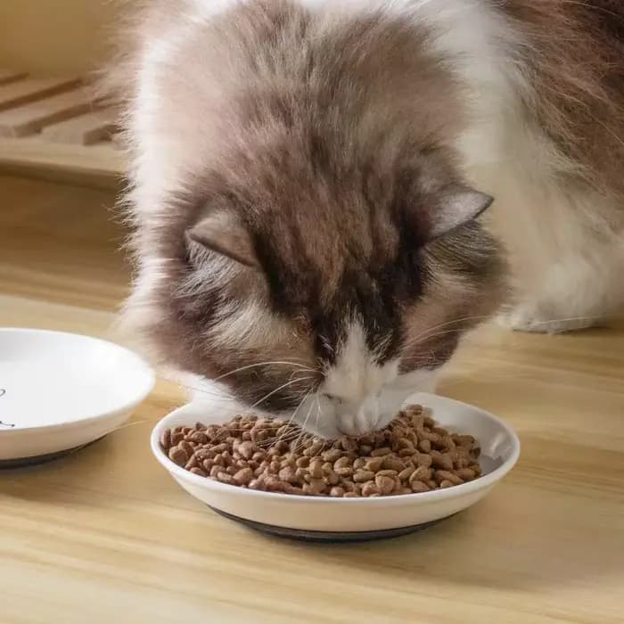 Bol en céramique pour nourriture et eau pour chat avec tapis antidérapant en silicone