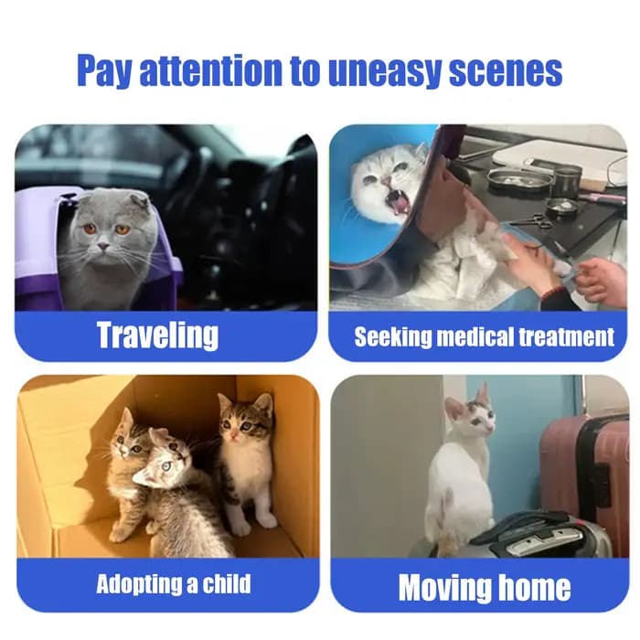 Calme pour chats 6X patchs sédatifs à dégagement rapide