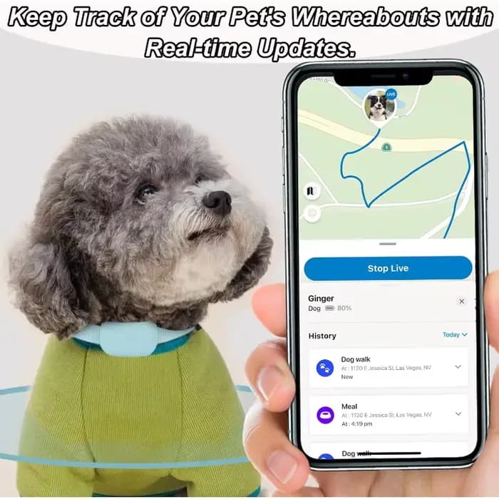 Collier de suivi GPS intelligent pour animaux de compagnie