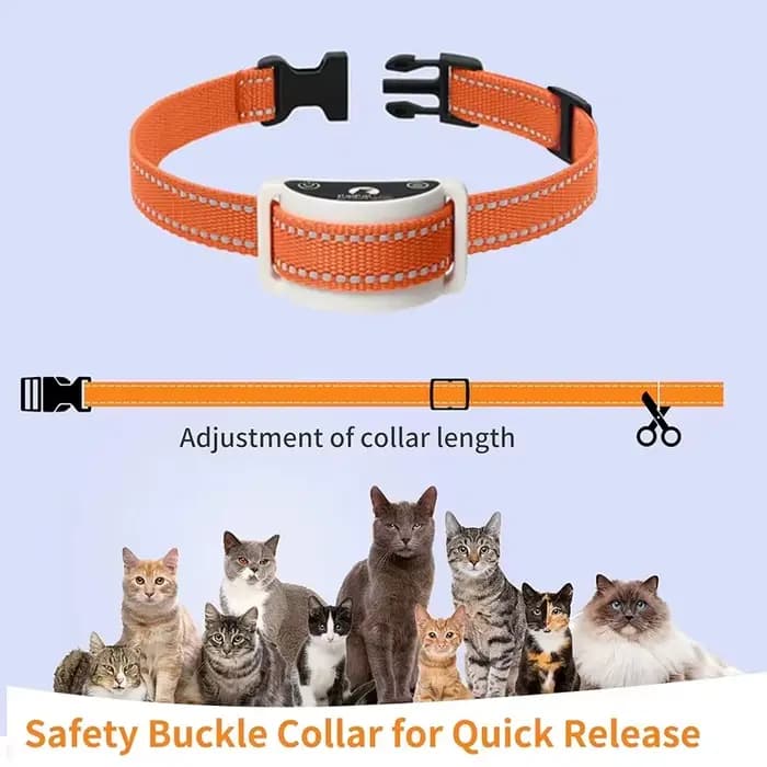 Collier d'entraînement automatique Anti-meow et pour chat 2 en 1