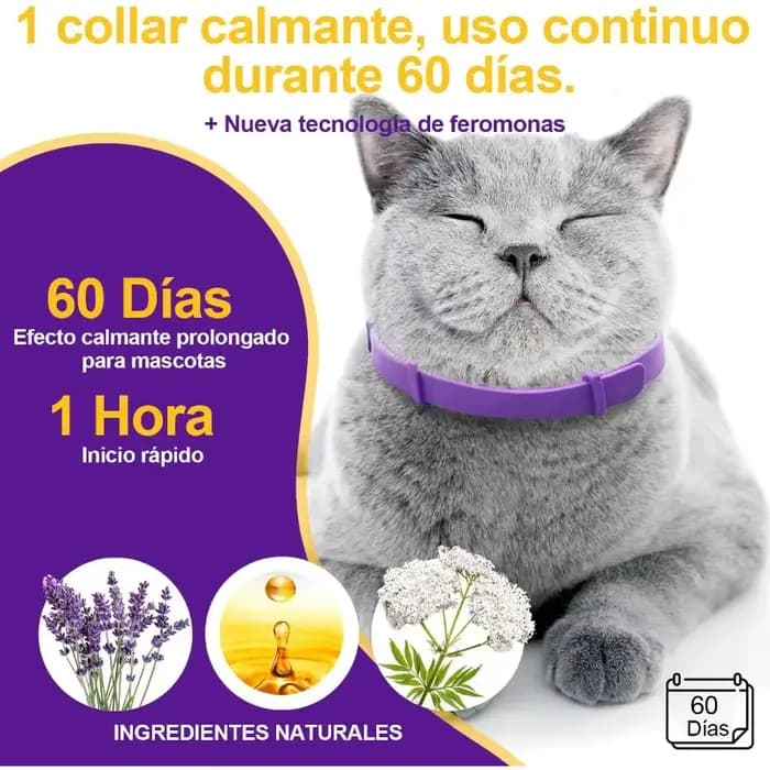 Collier anti-anxiété pour chat - Lot de 4 - Agent calmant naturel - Désodorisant pour soulager le stress et les comportements agressifs - Tension réglable