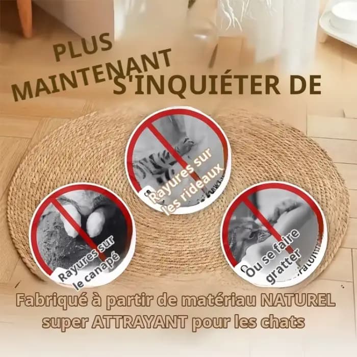 Tapis à litière pour chat résistant à l'usure