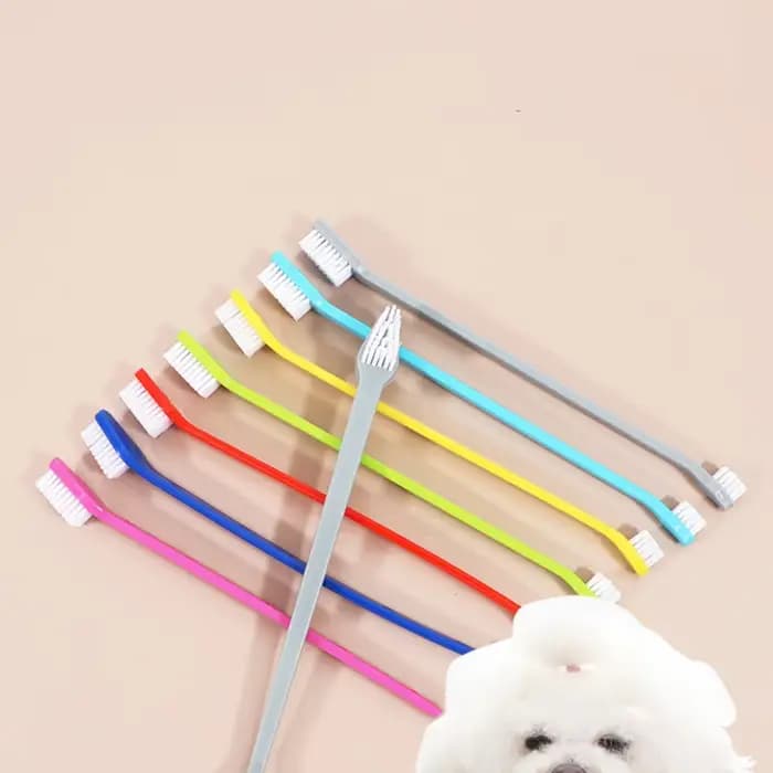 Brosse à dents à Double tête pour chien