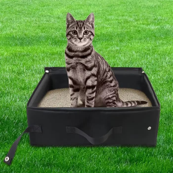 Bac à litière de voyage pliable Portable pour animaux de compagnie