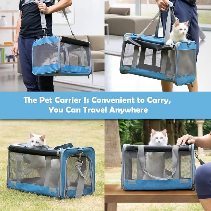 Transporteur pliable pour chat