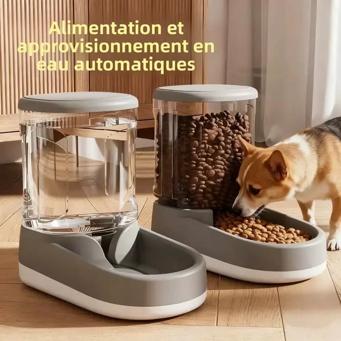 Bol pour chat bol pour chien distributeur d'eau