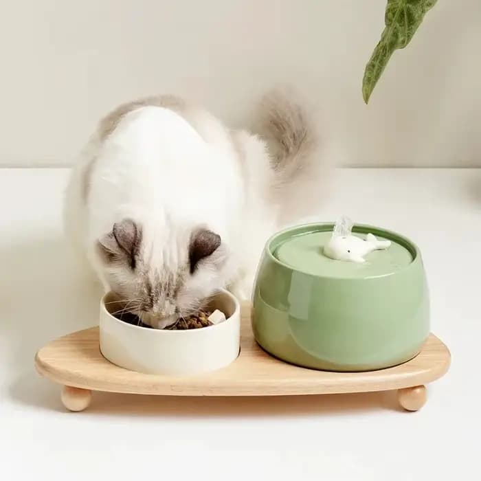 Fontaine d'eau en céramique pour chat