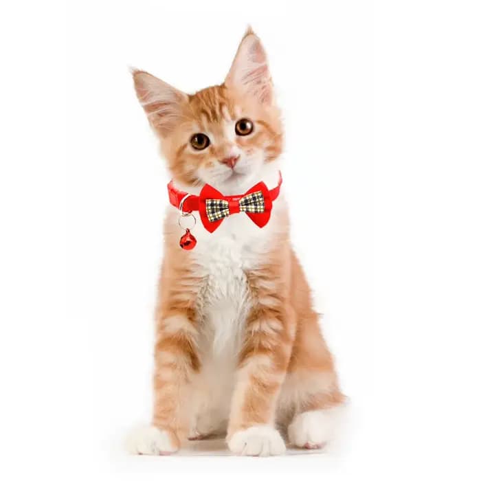 Pet Collar with Bell Cats Checked Bow Adjustable Buckle Neck Strap Puppy Dog