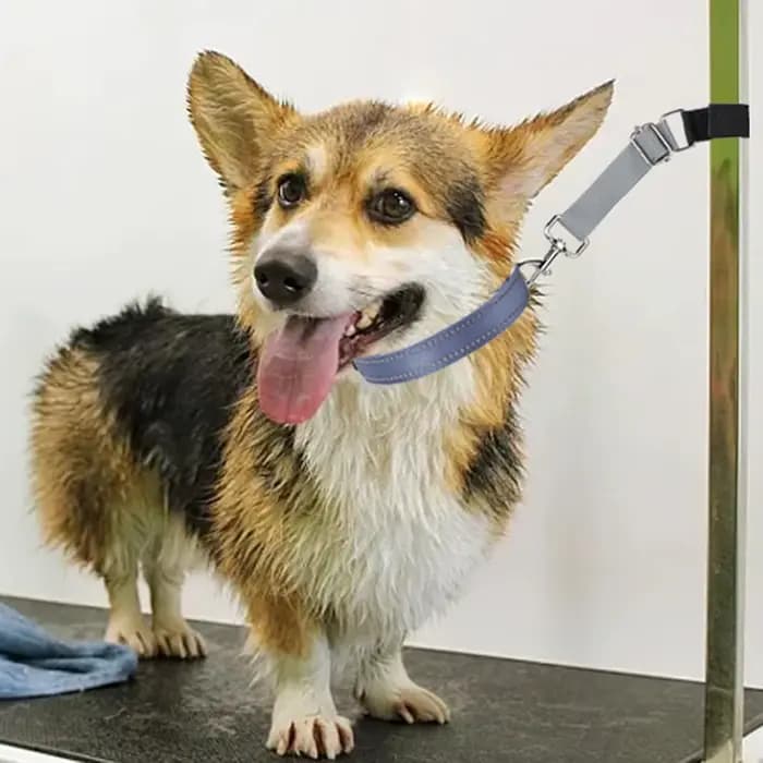 2 pièces accessoires de bras de laisses de base de toilettage de chien de compagnie, sangles d'extension de boucles d'animaux réglables pour la coupe de toilettage de bain