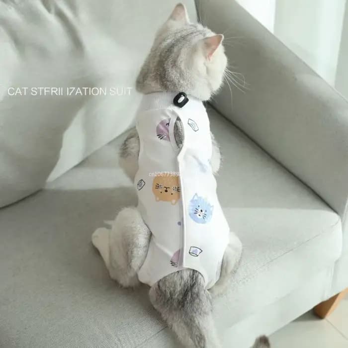 Combinaison chirurgicale pour chats