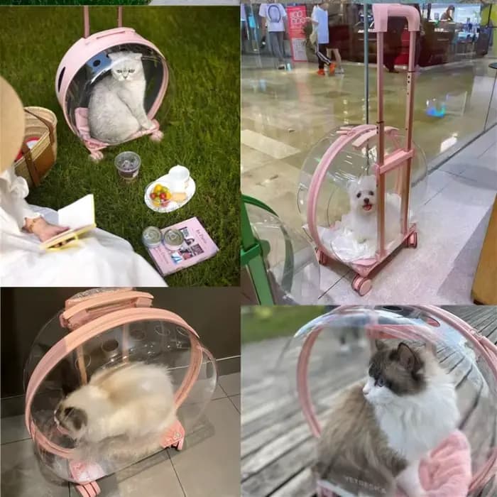 Chariot valise transporteur Transparent sac de transport pour animaux de compagnie chats transporteurs et poussettes