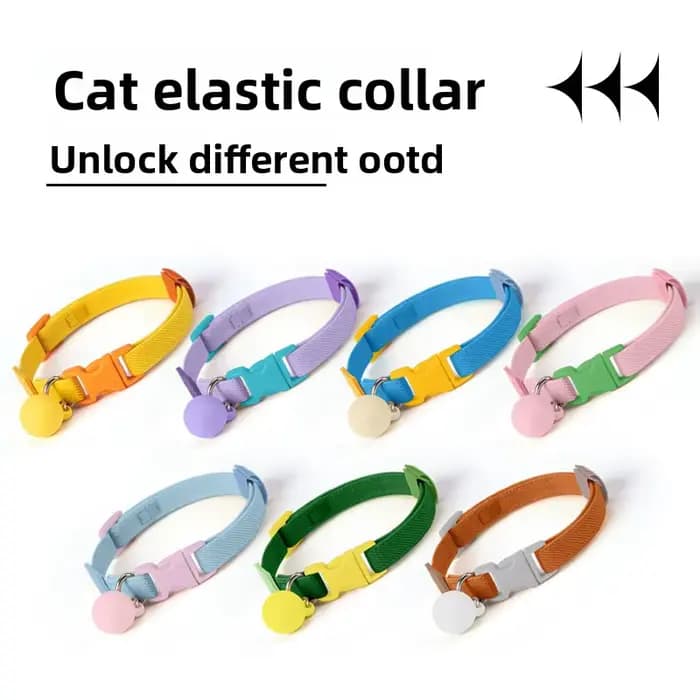 Collier de sécurité pour chat