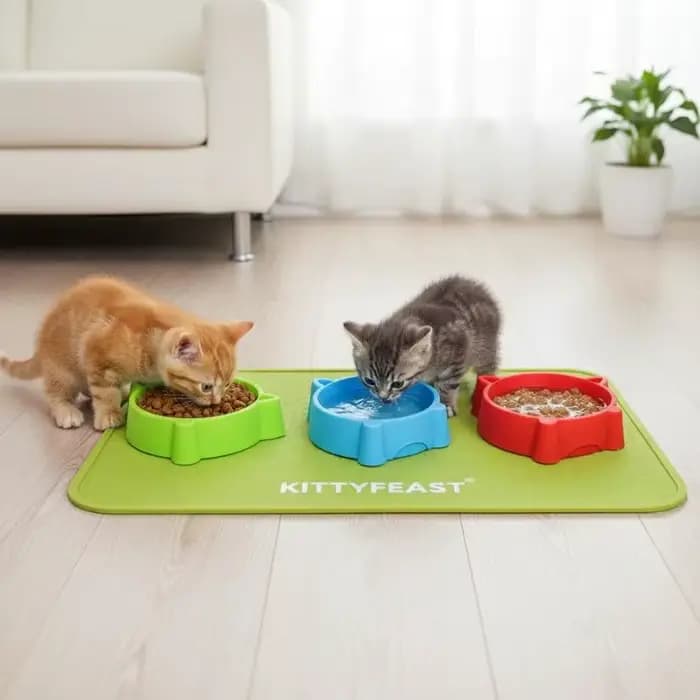 Bol pour animaux de compagnie avec design oreilles de chat mignonnes - Distributeur de nourriture et d'eau en plastique