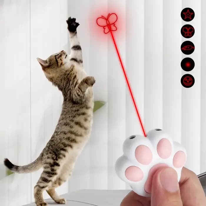 Fun laser PET Toy rechargeable 5 modèles réglables pour PET Dog Cat interactive kitten Training Chasing Cat accessoires pour animaux de compagnie