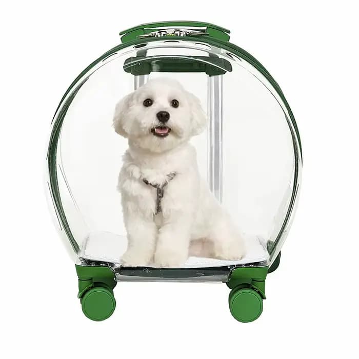 Chariot valise transporteur Transparent sac de transport pour animaux de compagnie chats transporteurs et poussettes