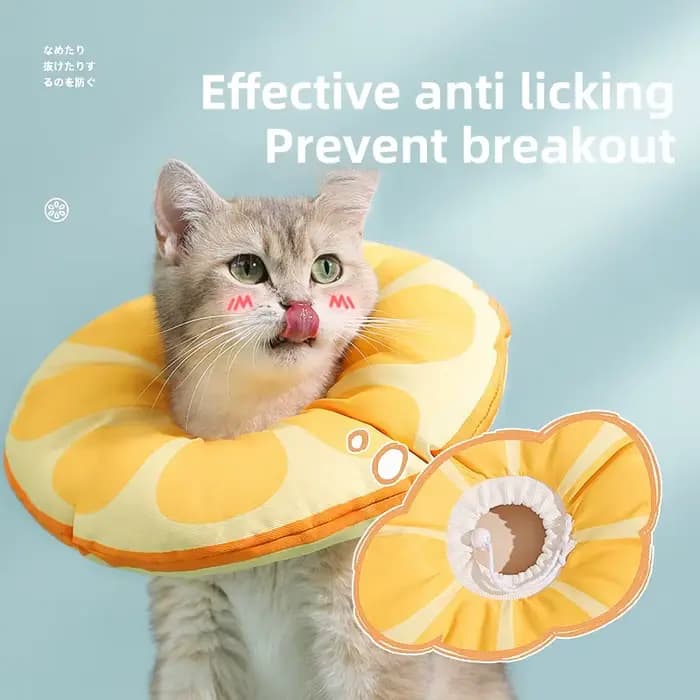 HOOPET – collier élisabéthain pour chat
