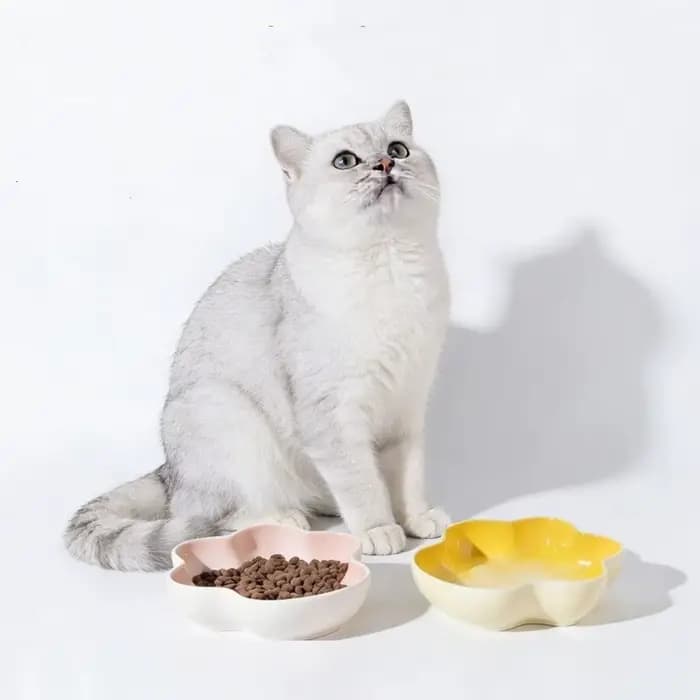 Bol en céramique créatif en forme de patte pour chat