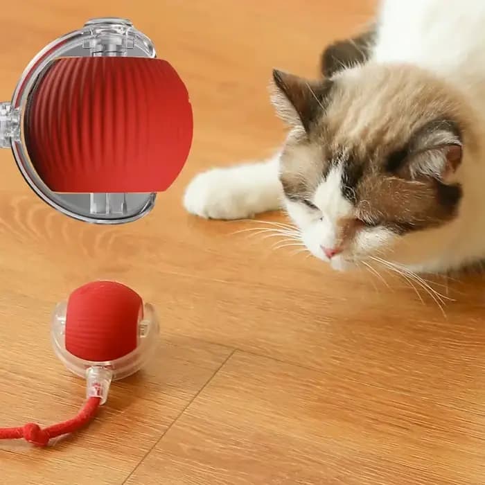 Boule de jouet pour chat
