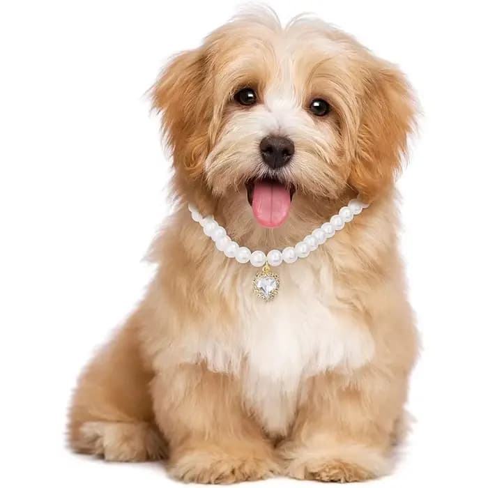 Nouveau collier de chat décoration animal de compagnie mignon exquis cou chaton réglable été chat collier haute Simulation perles fournitures pour animaux de compagnie
