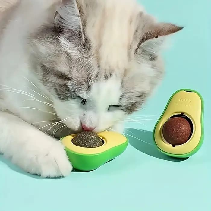 Jouet d'avocat à la menthe pour chat