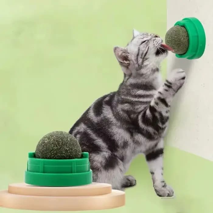 Jouet de nettoyage des dents pour chat en forme de boule de menthe