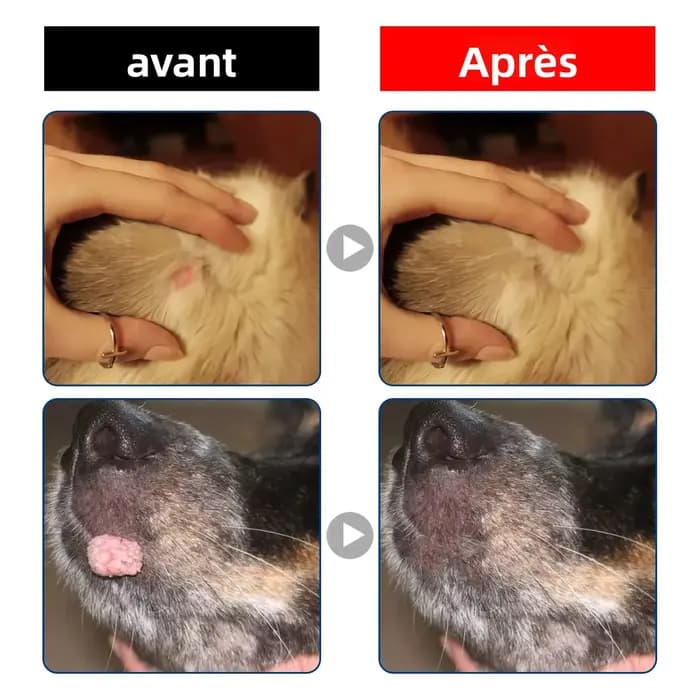 Liquide de soin de la peau pour animaux de compagnie
