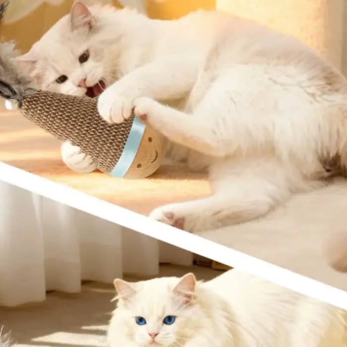 Jouet interactif pour chat : Tumbler Wobbler résistant aux morsures avec plumes et agave pour le nettoyage des dents – Fournitures pour animaux de compagnie