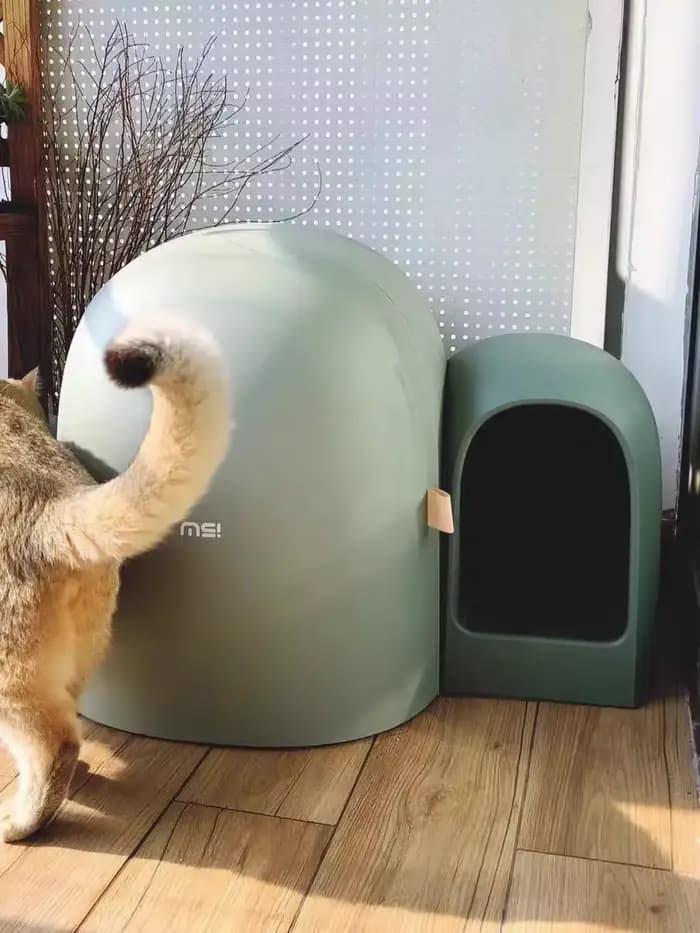 Bac à Litière pour Chat