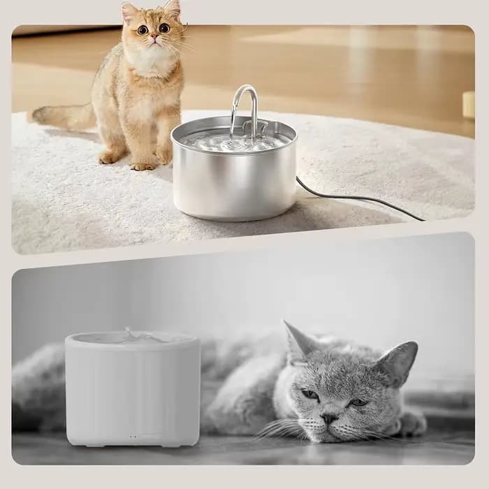 Fontaine à eau automatique pour chat et chien