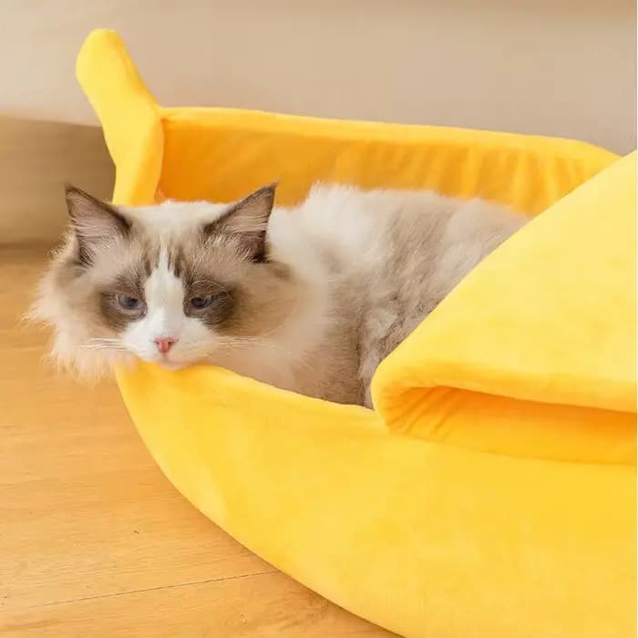 Lit banane pour chat, maison pour l'hiver, drôle, mignon et confortable, tapis pour chat, chaud et Durable, panier Portable pour animaux de compagnie, chenil, coussin pour chien, fournitures pour chat