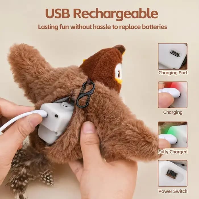 Jouet coule oiseau volant pour chat