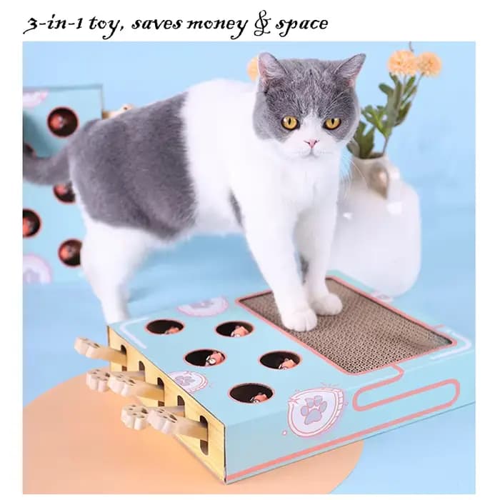 Boîte de jeu 3 en 1 pour chat : Jouet interactif Whack-a-Mole