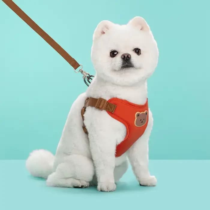 Harnais créatif et mignon pour animaux de compagnie