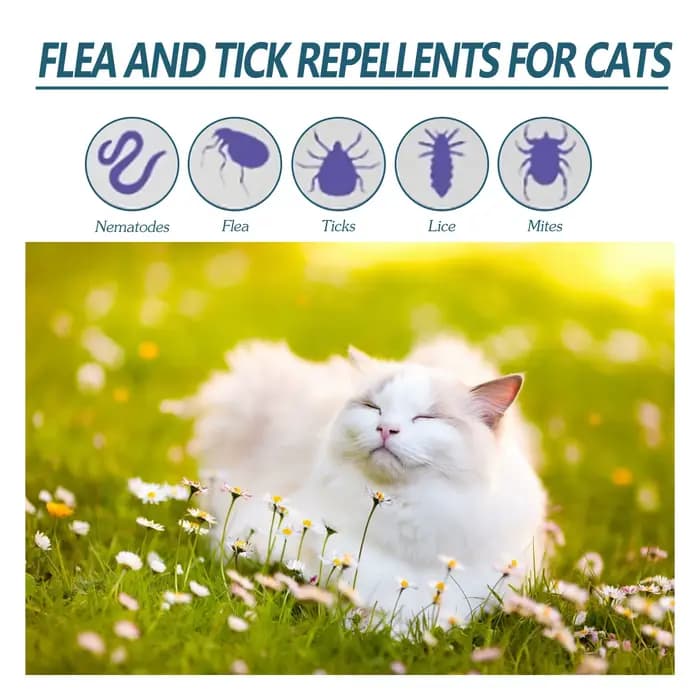 Gouttes anti-puces haut de gamme pour animaux de compagnie 60 ml – Contre les puces